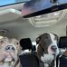 Jesse Robert - Facebook