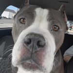 Jesse Robledo - @djaylogansquare - Instagram