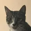 jesserojo12 - @jesserojo12 - TikTok