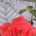Jess Roldan - Facebook