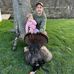 Jesse Root - Facebook