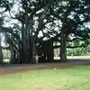 Jesse Rosenkranz - @jesserosenkranz - TikTok