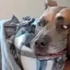 Jesse Rowlen - @jesse.rowlen - TikTok
