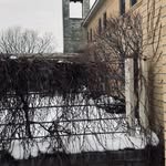 Jesse Rupp - @otherwise_than - Instagram