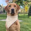 Jess Russo - @mileynluna.the.labs - TikTok