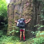Jesse Sachs - @jesse_sachs - Instagram