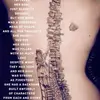 jessesalisbury - @jessesalisbury - TikTok