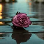 Jesse Samson - @jesse.samson.7777 - Instagram