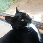 Jesse Sanford - @jesseorion314 - Instagram