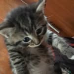 Jesse Sanford - @jessesanford844 - Instagram