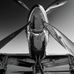 Jesse Saxon - Facebook