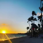 Jesse Scales - @naicafodownbio405 - Instagram