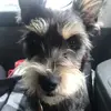 Jesse Schaeffer761 - @jesseschaeffer761 - TikTok