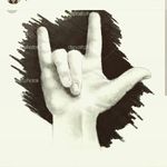 jesse shaw - @jesseshaw101 - Instagram