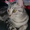 Jesse Sickels - @jesse.sickels - TikTok