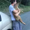 Jesse Sickles - @jesse.sickles - TikTok