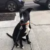 Jesse Simon29 - @jessesimon29 - TikTok