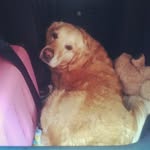 Jesse simpson fan page - @jessesimpsonfanpage - Instagram