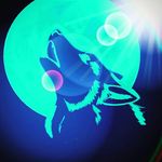 Jesse singleton - @jesse_singleton050 - Instagram