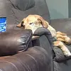 Jessie Smock - @jessie.smock - TikTok