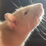 jessesquires10 - @jessesquires10 - Instagram