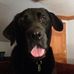 Jesse Stahl - Facebook