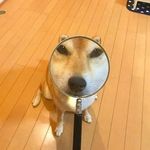 Jesse Stambaugh - @y3bb3r - Instagram