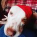 Jessie Stambaugh - Facebook