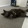 Jesse Starr - @jesse.starr91 - TikTok