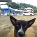 Jhosua Steeven - Facebook