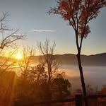 Jesse Sterling - @jessesterling8 - Instagram