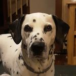 Jesse Stiles - @jesse.stiles.1029 - Instagram