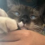Jesse - @jesse.stillwater - Instagram