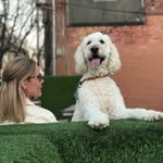 Jess Stivers - @jessstivers - Instagram