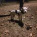 Jesse Streeter Jr. - Facebook