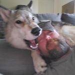 Jesse Stretch - @stretchjesse - Instagram
