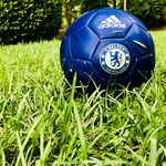 Jesse Sullivan - @jessesullivan207 - Instagram
