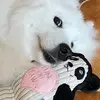 user9457011707897 - @jessesun02 - TikTok