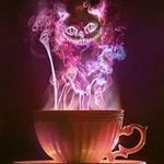 Jesse Talbot - @jesse.talbot.3 - Instagram