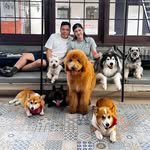 Tam Wing Lok Jesse - @jessetamwinglok - Instagram