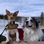 Christina + Jesse + Tanner - @its.jesse.and.tanner - Instagram