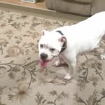 Jesse Tapper - @jessetapper - Instagram