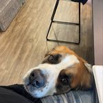 Jesse Terrell - @installsuccess2022 - Instagram