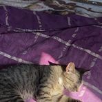 Jesse Teta - Facebook