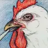 Jesse Tharp - @jessetharp850 - TikTok