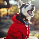 Jesse tharp - @jessetharp1 - Instagram