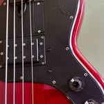 Jesse Thomas Blier - @tommyblierbass - Instagram