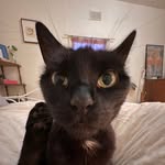 Jesse Thomson - @jesse.jthomson - Instagram