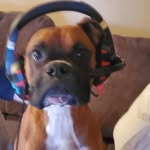 Jesse Tidwell - @jesse_tidwell72 - Instagram