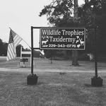 Jesse Tillman - @wildlife_trophies_taxidermy - Instagram